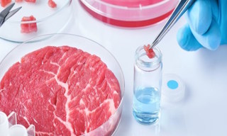 Лабораторный анализ пищевых продуктов по СанПиН в Кохме в октябре