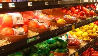Сертификация пищевой продукции в Кохме – цена от 10388 руб. | ПромМир