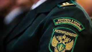 Подготовка к проверке Росприроднадзора в Кохме от ПромМир-Кхм, стоимость услуги от 20776 руб.
